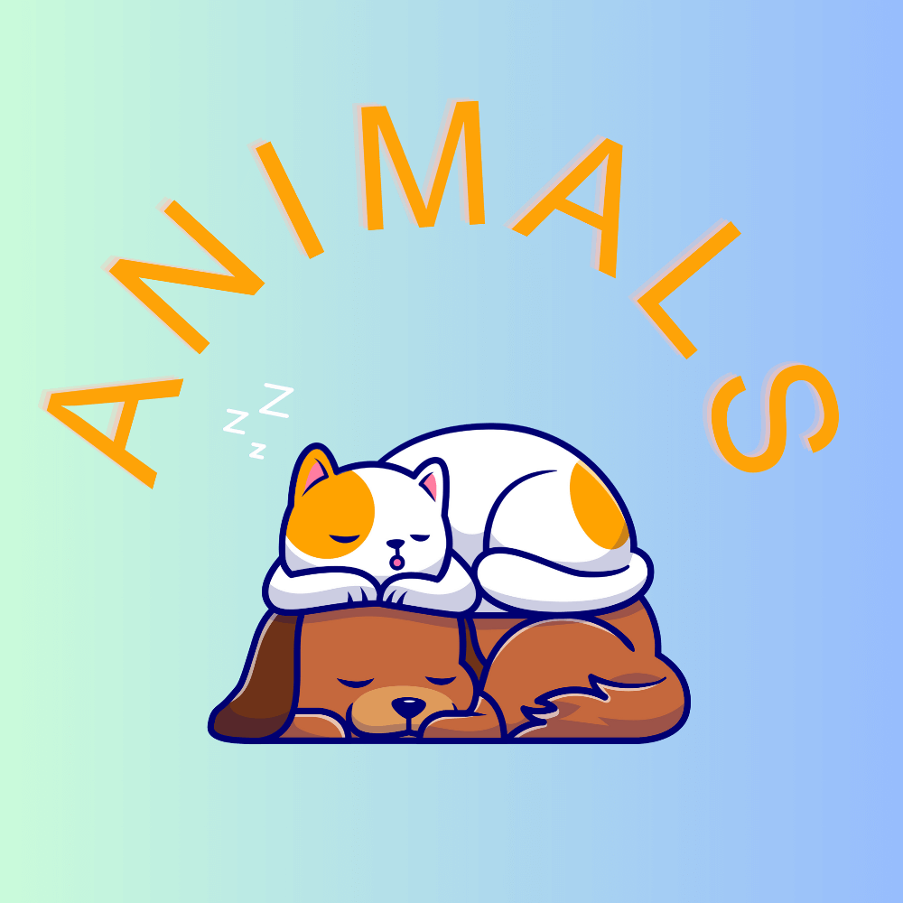 Animals - dtfintexas