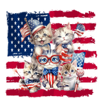 4 july 101 PATRIOTIC  HOLIDAYS READY TO PRESS dtfintexas