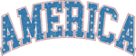 Amerıca Retro PATRIOTIC  HOLIDAYS READY TO PRESS dtfintexas