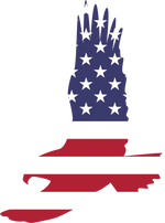 Amerıcan Flag 17 PATRIOTIC HOLIDAYS READY TO PRESS dtfintexas