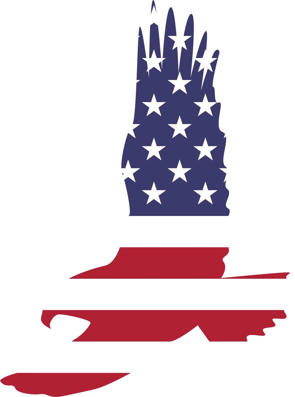 Amerıcan Flag 17 PATRIOTIC HOLIDAYS READY TO PRESS dtfintexas