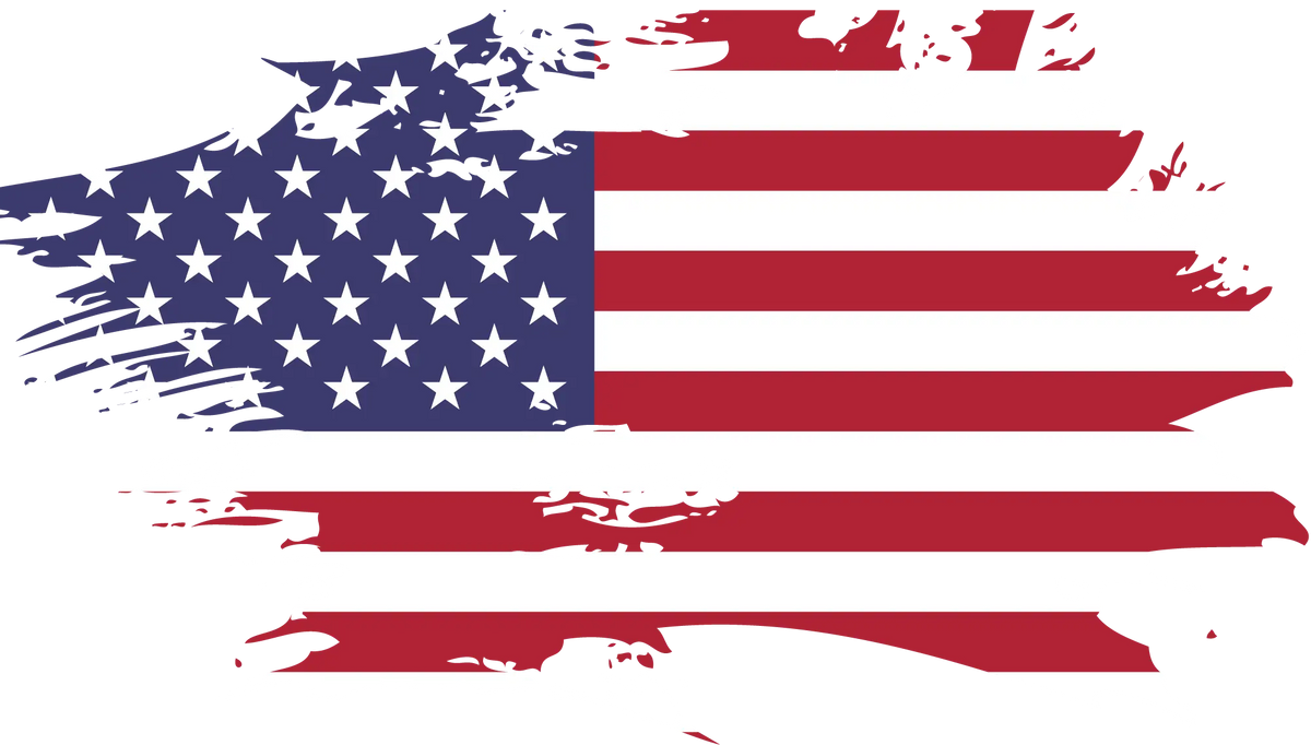 Amerıcan Flag 20 PATRIOTIC HOLIDAYS READY TO PRESS dtfintexas
