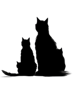 Black Cat (2) Cats Animals Ready To Press Dtf Transfers dtfintexas