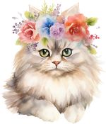 Persian Cats Animals Ready To Press  Dtf Transfers dtfintexas