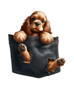 Pocket Dog (21) Dogs Animals Ready To Press  Dtf Transfers dtfintexas