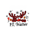 Queen bundle Bleached PE Teacher sublimation Christmas Holidays  Ready To Press Dtf Transfers dtfintexas