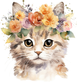 Selkirk Rex Cats Animals Ready To Press  Dtf Transfers dtfintexas