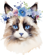 Snowshoe Cats Animals Ready To Press  Dtf Transfers dtfintexas