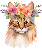 Somali Cats Animals Ready To Press  Dtf Transfers dtfintexas