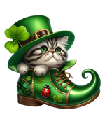 St.Patrick's Day (20) St.Patrick's Day Holiday Ready To Press Dtf Transfers dtfintexas