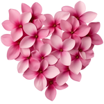 Heart Flower 6 Valentine' s Day  Holiday Ready To Press Dtf Transfers dtfintexas